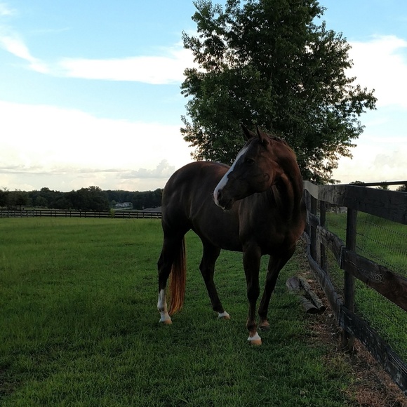 Meet your Posher, Tina - Picture 5 of 6